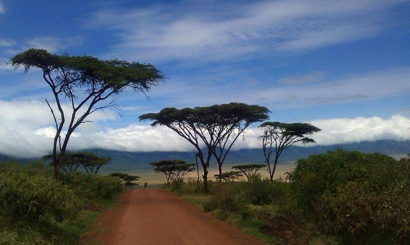 African Sunrise Lodge And Campsite Mto wa Mbu Exterior photo